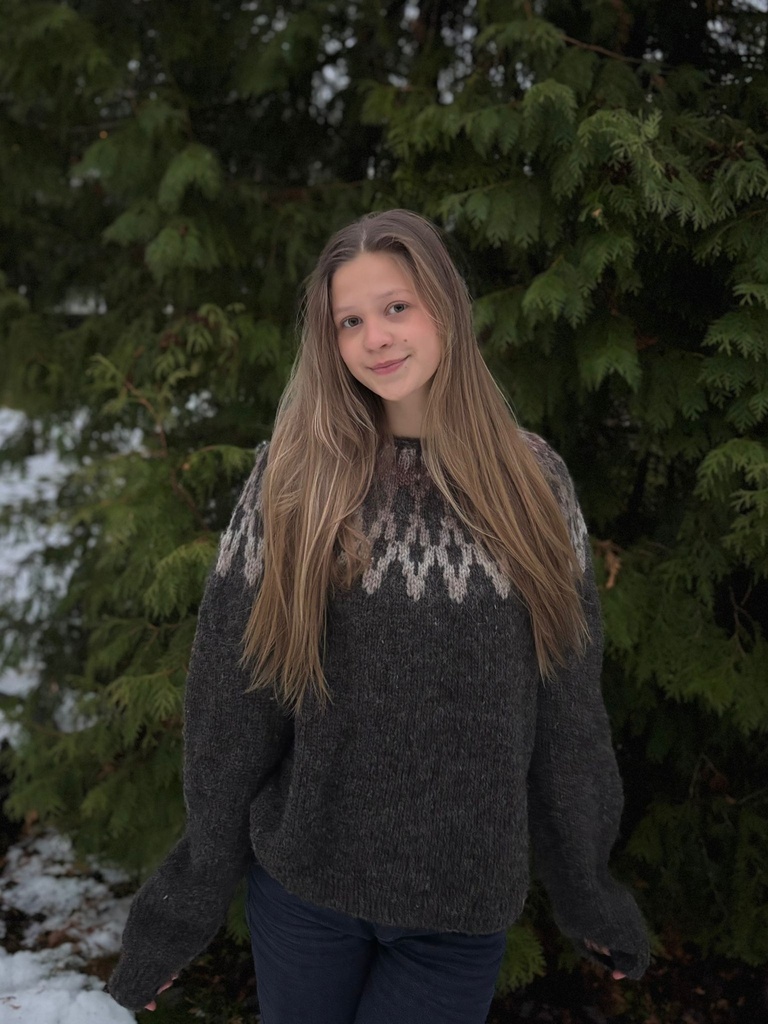 Sweater (brown), L