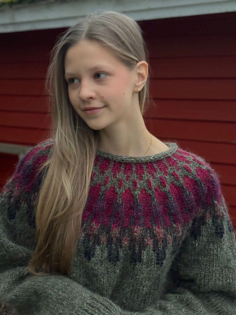 Sweater (forest green/burgundy), L